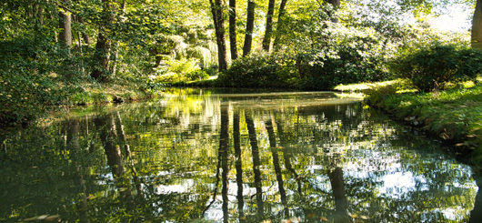 Kahnfahrt durch den Spreewald