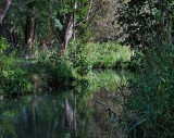 Kahnfahrt durch den Spreewald