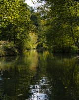 Kahnfahrt durch den Spreewald